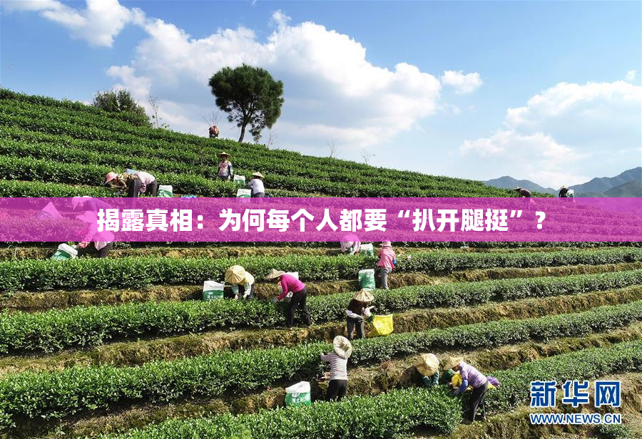 揭露真相：为何每个人都要“扒开腿挺”？