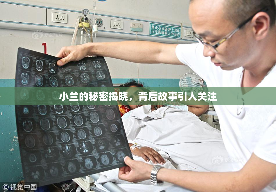 小兰的秘密揭晓，背后故事引人关注