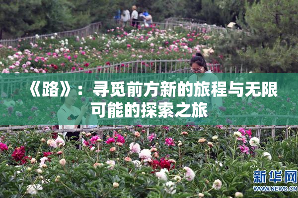 《路》：寻觅前方新的旅程与无限可能的探索之旅