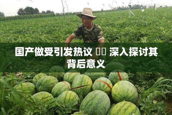 国产做受引发热议 ❌‌ 深入探讨其背后意义