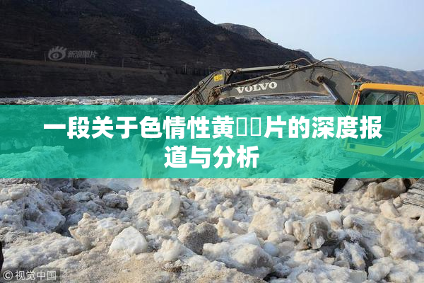 一段关于色情性黄❌‌片的深度报道与分析
