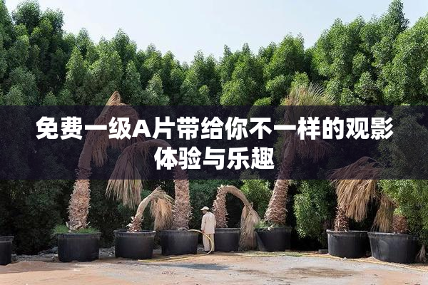免费一级A片带给你不一样的观影体验与乐趣