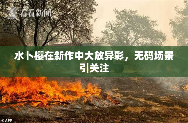 水卜樱在新作中大放异彩，无码场景引关注