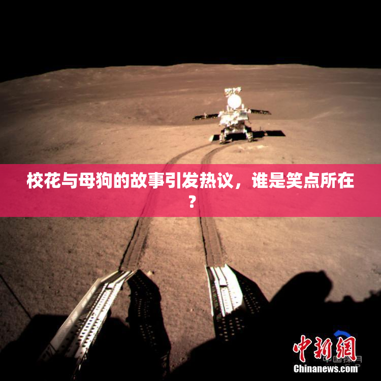 校花与母狗的故事引发热议，谁是笑点所在？