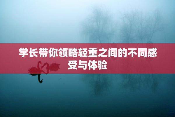 学长带你领略轻重之间的不同感受与体验