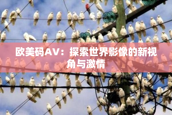 欧美码AV：探索世界影像的新视角与激情