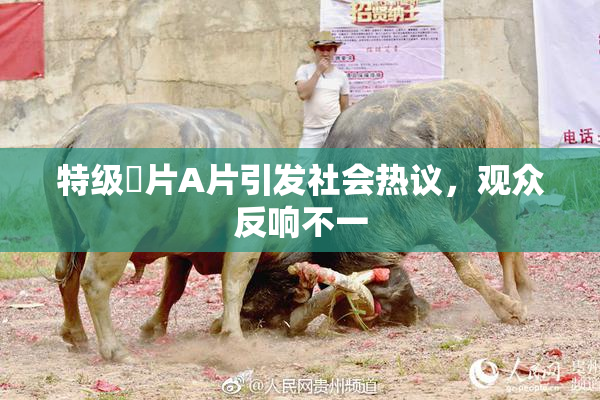 特级婬片A片引发社会热议，观众反响不一