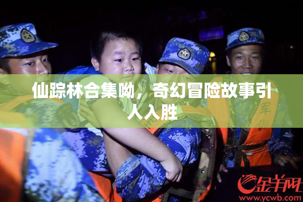 仙踪林合集呦，奇幻冒险故事引人入胜