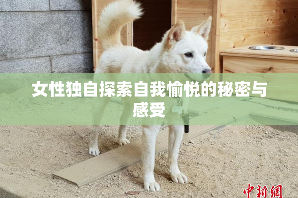 女性独自探索自我愉悦的秘密与感受