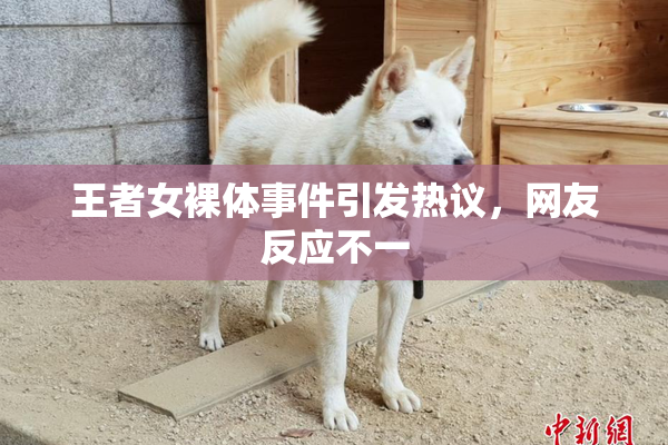 王者女裸体事件引发热议，网友反应不一