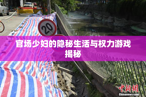 官场少妇的隐秘生活与权力游戏揭秘