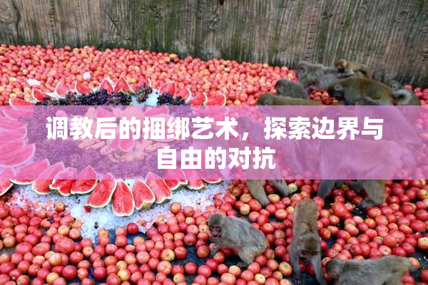 调教后的捆绑艺术，探索边界与自由的对抗