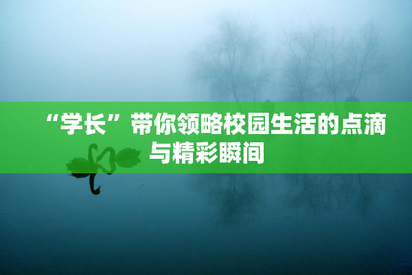 “学长”带你领略校园生活的点滴与精彩瞬间