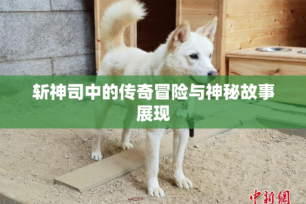 斩神司中的传奇冒险与神秘故事展现