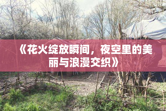 《花火绽放瞬间，夜空里的美丽与浪漫交织》