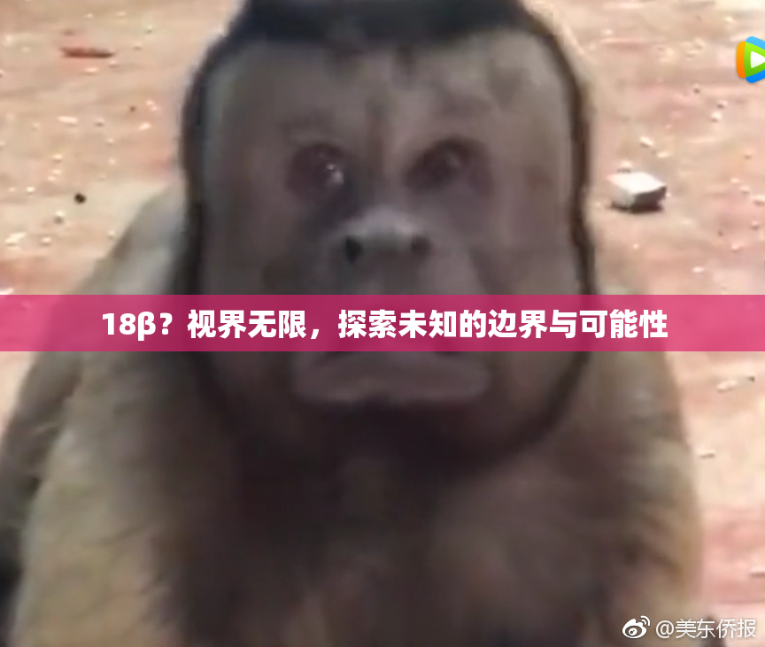 18β？视界无限，探索未知的边界与可能性