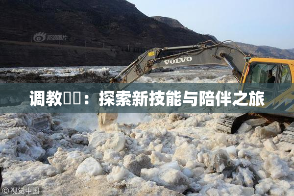 调教妺妺：探索新技能与陪伴之旅