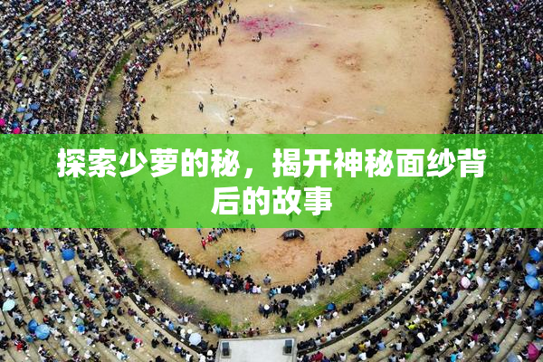 探索少萝的秘，揭开神秘面纱背后的故事