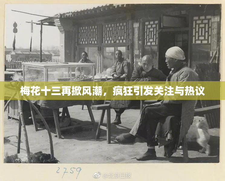 梅花十三再掀风潮，疯狂引发关注与热议