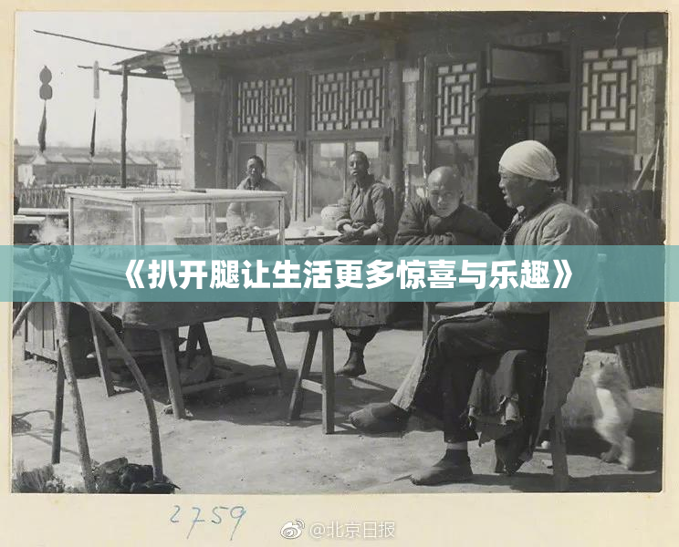 《扒开腿让生活更多惊喜与乐趣》