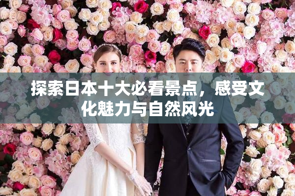 探索日本十大必看景点，感受文化魅力与自然风光