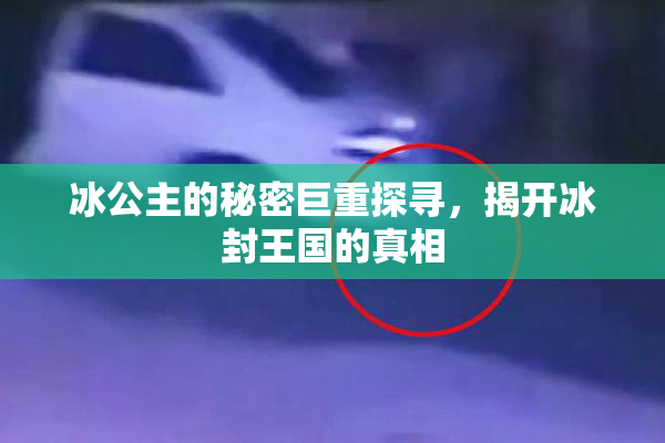 冰公主的秘密巨重探寻，揭开冰封王国的真相