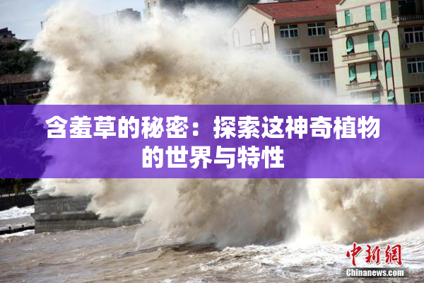 含羞草的秘密：探索这神奇植物的世界与特性