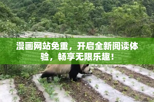 漫画网站免重，开启全新阅读体验，畅享无限乐趣！