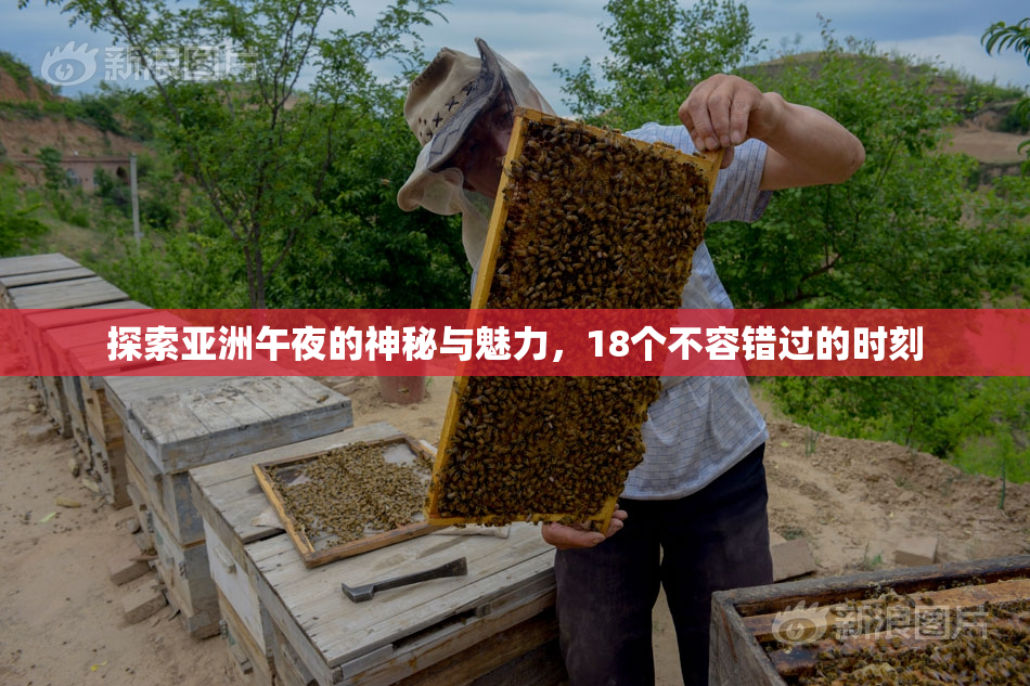 探索亚洲午夜的神秘与魅力，18个不容错过的时刻
