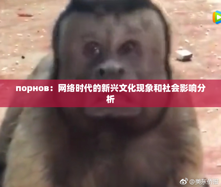порнов：网络时代的新兴文化现象和社会影响分析