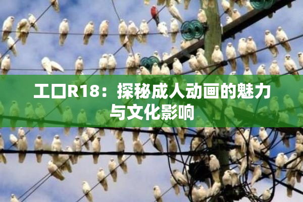 工口R18：探秘成人动画的魅力与文化影响