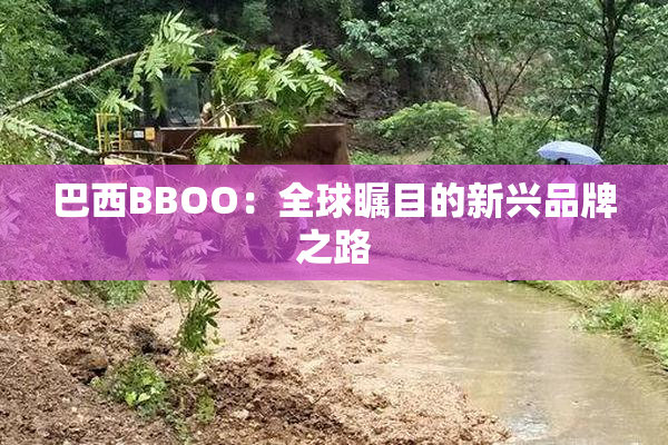 巴西BBOO：全球瞩目的新兴品牌之路