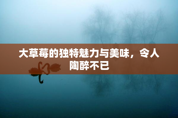 大草莓的独特魅力与美味，令人陶醉不已