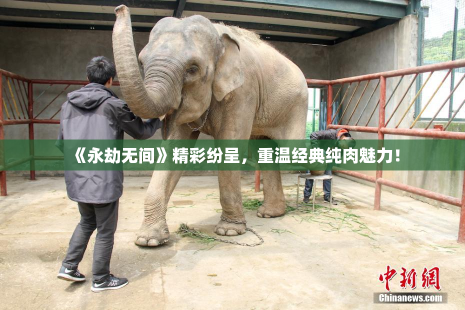 《永劫无间》精彩纷呈，重温经典纯肉魅力！