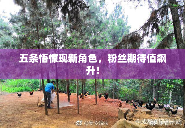 五条悟惊现新角色，粉丝期待值飙升！