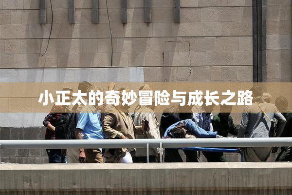 小正太的奇妙冒险与成长之路