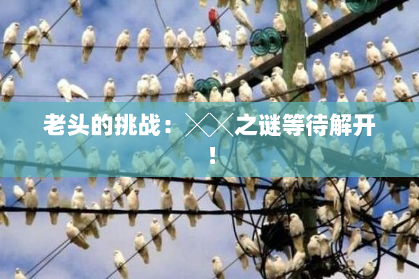 老头的挑战：╳╳之谜等待解开！
