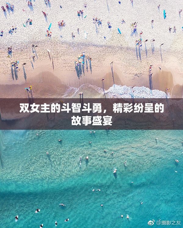 双女主的斗智斗勇，精彩纷呈的故事盛宴
