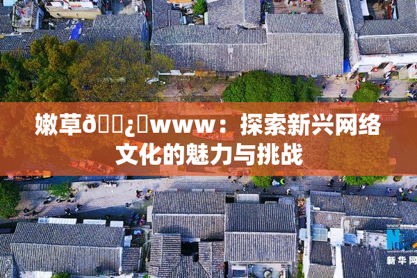 嫩草🌿‌www：探索新兴网络文化的魅力与挑战