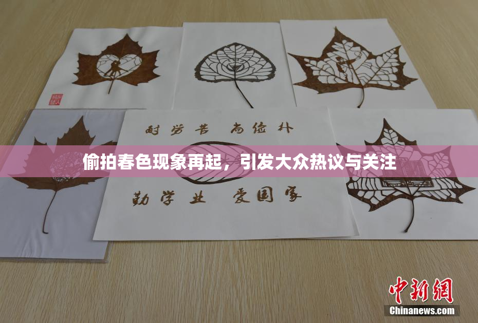 偷拍春色现象再起，引发大众热议与关注