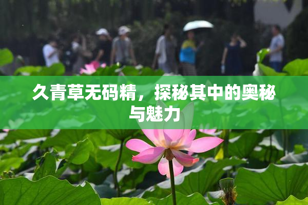 久青草无码精，探秘其中的奥秘与魅力