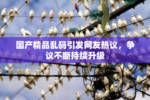 国产精品乱码引发网友热议，争议不断持续升级