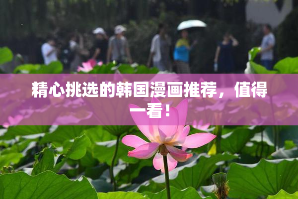 精心挑选的韩国漫画推荐，值得一看！