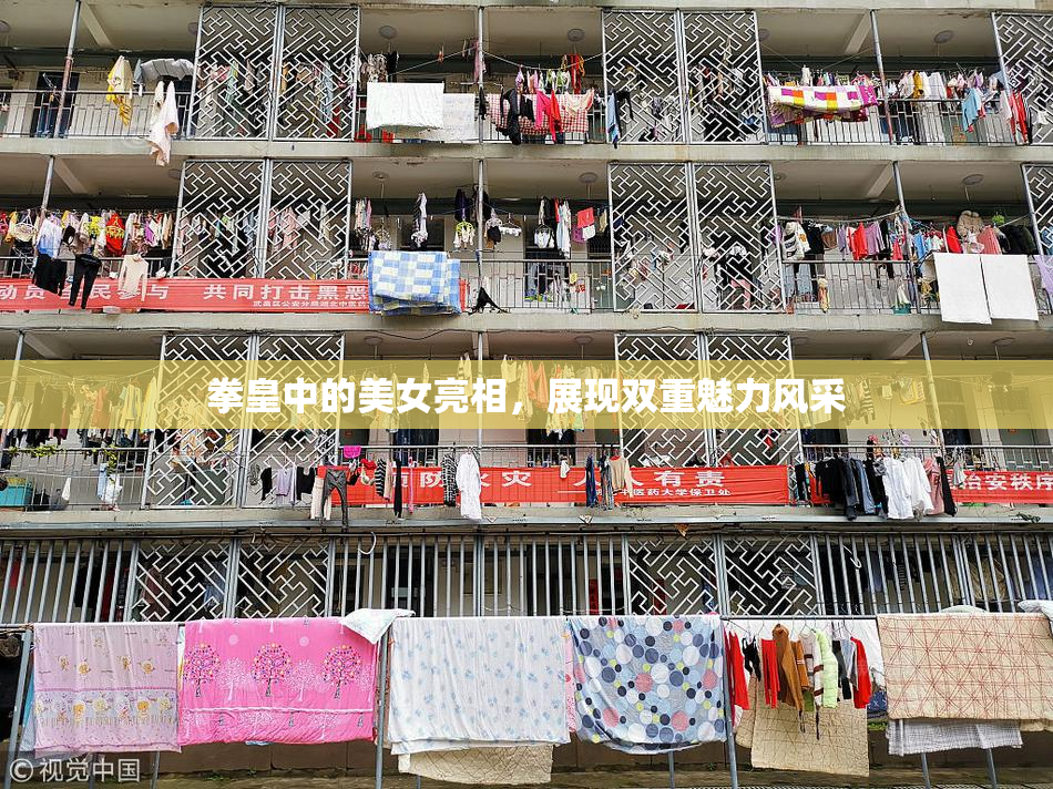 拳皇中的美女亮相，展现双重魅力风采