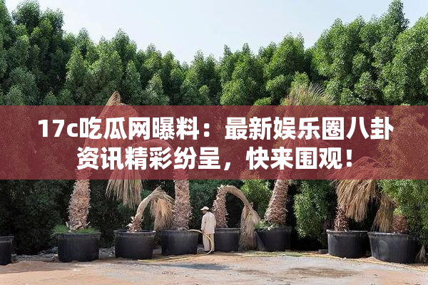 17c吃瓜网曝料：最新娱乐圈八卦资讯精彩纷呈，快来围观！