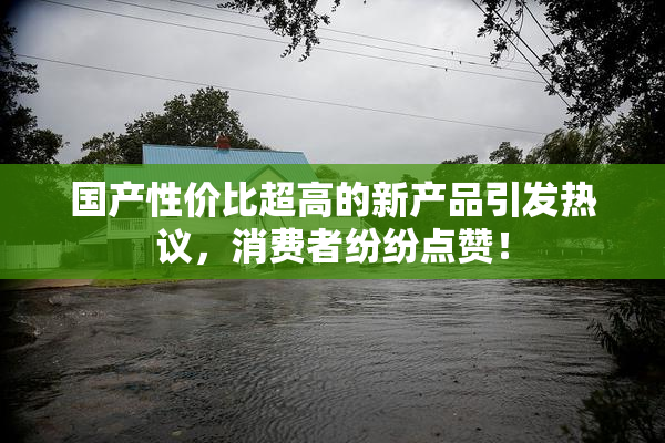 国产性价比超高的新产品引发热议，消费者纷纷点赞！