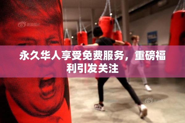 永久华人享受免费服务，重磅福利引发关注