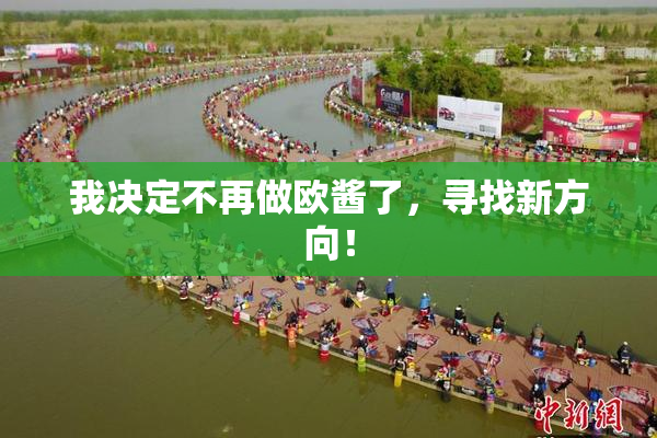 我决定不再做欧酱了，寻找新方向！