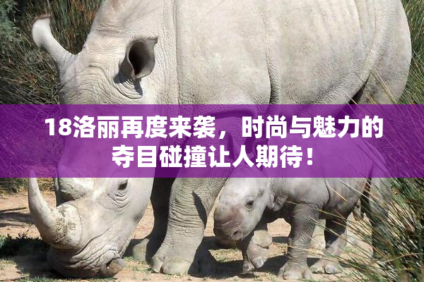 18洛丽再度来袭，时尚与魅力的夺目碰撞让人期待！