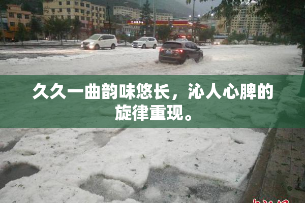 久久一曲韵味悠长，沁人心脾的旋律重现。
